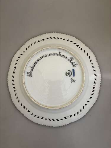 Flora danica Stenhammaria maritima plate.
