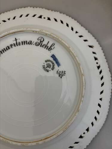 Flora danica Stenhammaria maritima plate.